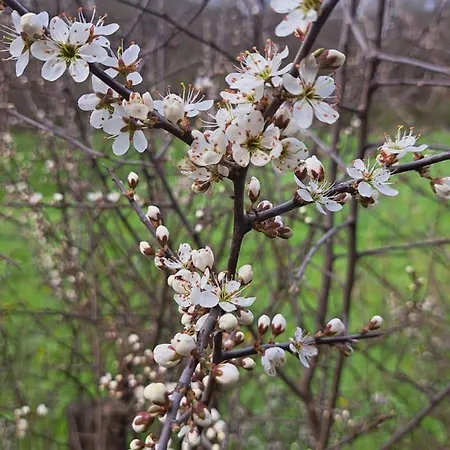 Schoene Im Sauerland Apartmán *