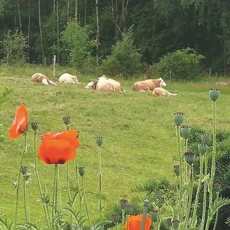 Apartmán Schoene Im Sauerland