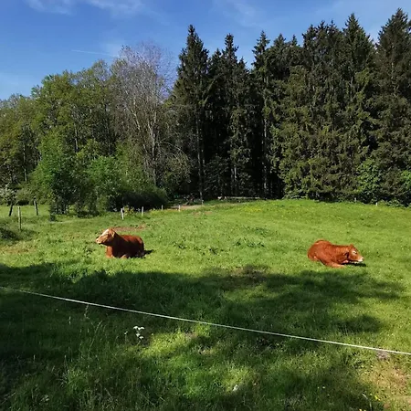 Apartmán Schoene Im Sauerland