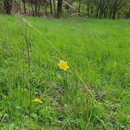 Schoene Im Sauerland Apartmán Kirchhundem