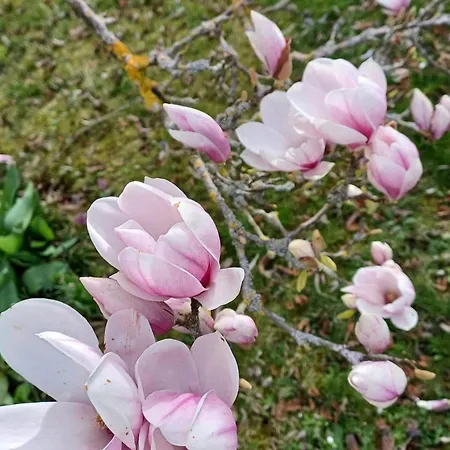 Apartmán Schoene Im Sauerland Kirchhundem
