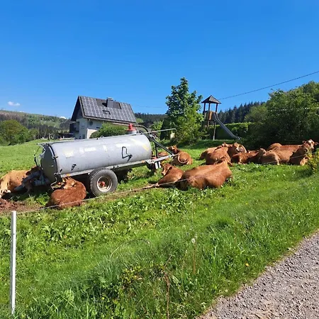 Apartmán Schoene Im Sauerland
