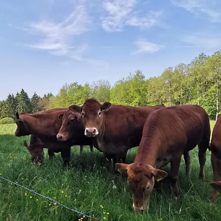 Schoene Im Sauerland Apartmán