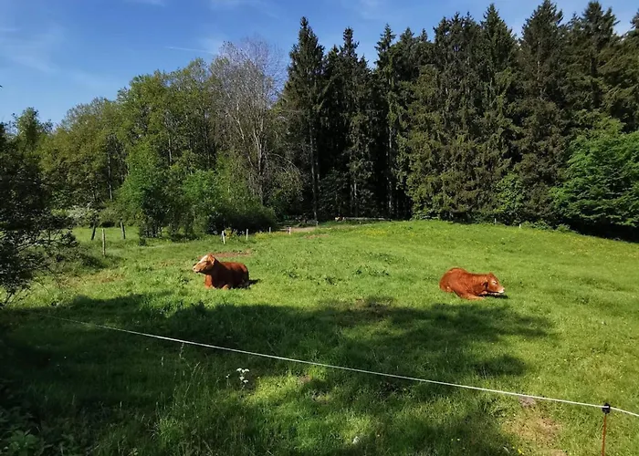 Daire Schoene Im Sauerland