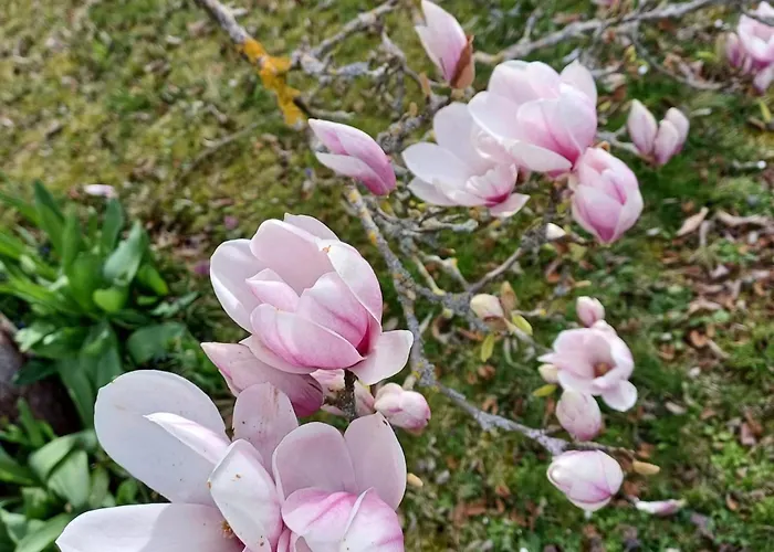 Daire Schoene Im Sauerland Kirchhundem
