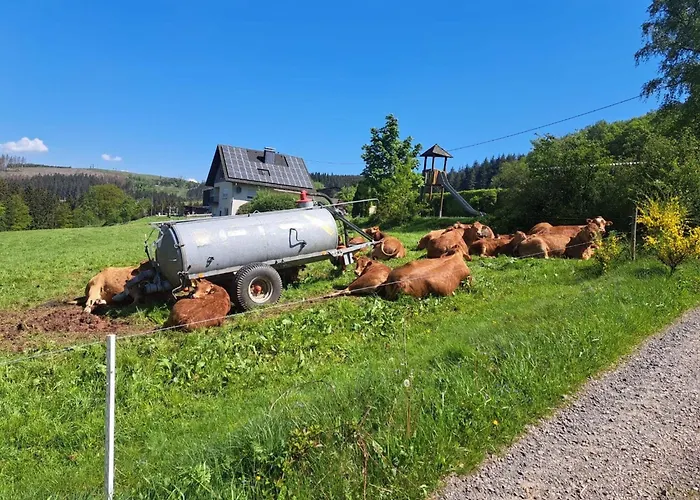 Daire Schoene Im Sauerland