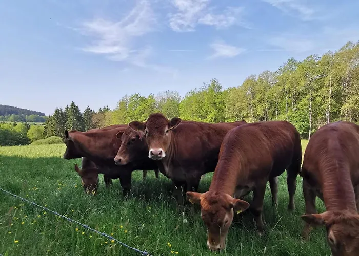 Schoene Im Sauerland Daire